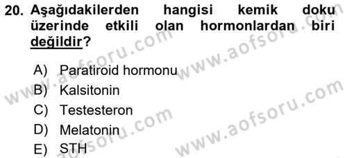 Temel Veteriner Histoloji ve Embriyoloji Dersi 2018 - 2019 Yılı (Vize) Ara Sınav Soruları 20. Soru