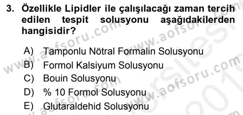Temel Veteriner Histoloji ve Embriyoloji Dersi Ara Sınavı Deneme Sınav Soruları 3. Soru