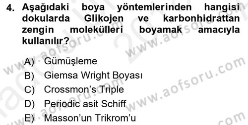 Temel Veteriner Histoloji ve Embriyoloji Dersi 2018 - 2019 Yılı (Vize) Ara Sınav Soruları 4. Soru