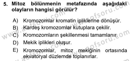 Temel Veteriner Histoloji ve Embriyoloji Dersi Ara Sınavı Deneme Sınav Soruları 5. Soru