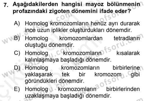 Temel Veteriner Histoloji ve Embriyoloji Dersi Ara Sınavı Deneme Sınav Soruları 7. Soru