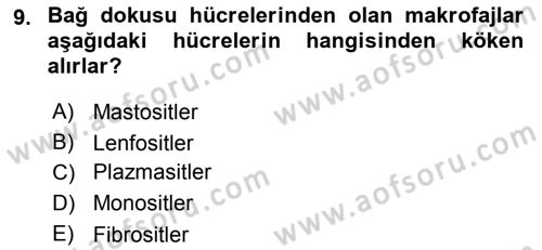 Temel Veteriner Histoloji ve Embriyoloji Dersi Ara Sınavı Deneme Sınav Soruları 9. Soru