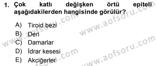 Temel Veteriner Histoloji ve Embriyoloji Dersi 2018 - 2019 Yılı (Final) Dönem Sonu Sınavı 1. Soru