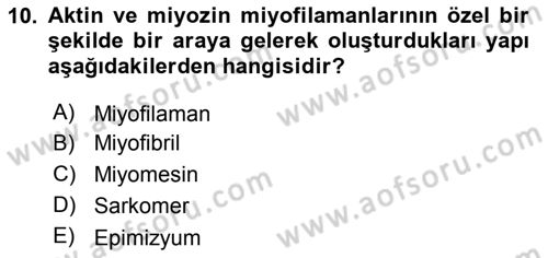 Temel Veteriner Histoloji ve Embriyoloji Dersi 2018 - 2019 Yılı (Final) Dönem Sonu Sınavı 10. Soru