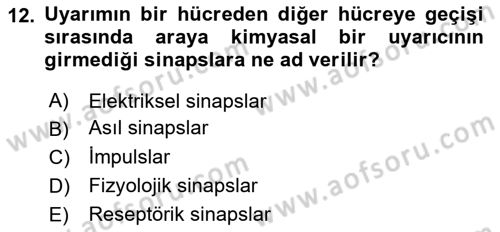 Temel Veteriner Histoloji ve Embriyoloji Dersi 2018 - 2019 Yılı (Final) Dönem Sonu Sınavı 12. Soru