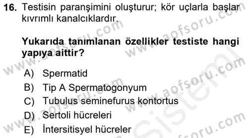 Temel Veteriner Histoloji ve Embriyoloji Dersi 2018 - 2019 Yılı (Final) Dönem Sonu Sınavı 16. Soru