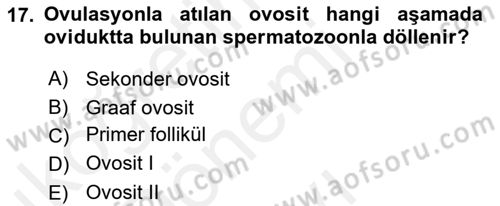 Temel Veteriner Histoloji ve Embriyoloji Dersi 2018 - 2019 Yılı (Final) Dönem Sonu Sınavı 17. Soru