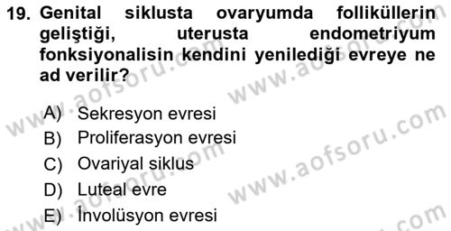 Temel Veteriner Histoloji ve Embriyoloji Dersi 2018 - 2019 Yılı (Final) Dönem Sonu Sınavı 19. Soru