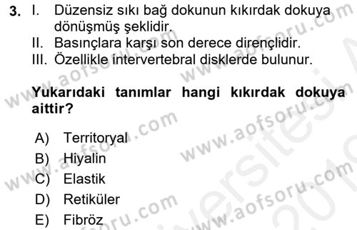 Temel Veteriner Histoloji ve Embriyoloji Dersi 2018 - 2019 Yılı (Final) Dönem Sonu Sınavı 3. Soru