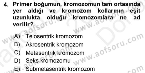 Temel Veteriner Histoloji ve Embriyoloji Dersi 2018 - 2019 Yılı (Final) Dönem Sonu Sınavı 4. Soru