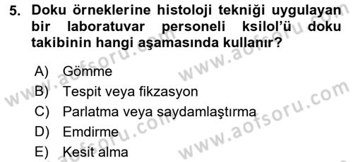 Temel Veteriner Histoloji ve Embriyoloji Dersi 2018 - 2019 Yılı (Final) Dönem Sonu Sınavı 5. Soru