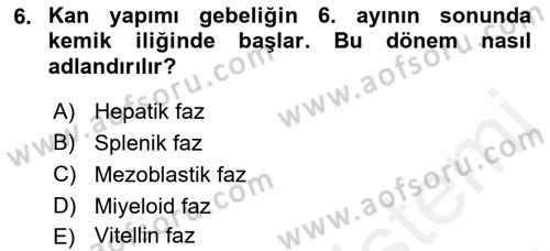 Temel Veteriner Histoloji ve Embriyoloji Dersi 2018 - 2019 Yılı (Final) Dönem Sonu Sınavı 6. Soru