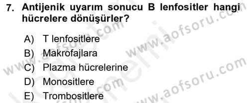 Temel Veteriner Histoloji ve Embriyoloji Dersi 2018 - 2019 Yılı (Final) Dönem Sonu Sınavı 7. Soru