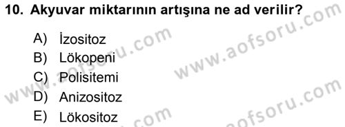 Temel Veteriner Histoloji ve Embriyoloji Dersi 2018 - 2019 Yılı Yaz Okulu Sınav Soruları 10. Soru