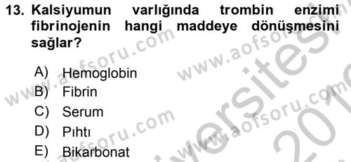 Temel Veteriner Histoloji ve Embriyoloji Dersi 2018 - 2019 Yılı Yaz Okulu Sınav Soruları 13. Soru