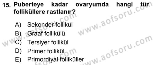 Temel Veteriner Histoloji ve Embriyoloji Dersi 2018 - 2019 Yılı Yaz Okulu Sınav Soruları 15. Soru
