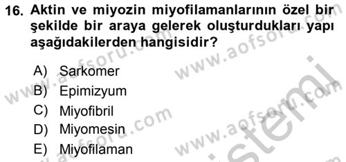 Temel Veteriner Histoloji ve Embriyoloji Dersi 2018 - 2019 Yılı Yaz Okulu Sınav Soruları 16. Soru
