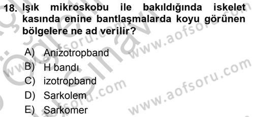 Temel Veteriner Histoloji ve Embriyoloji Dersi 2018 - 2019 Yılı Yaz Okulu Sınav Soruları 18. Soru