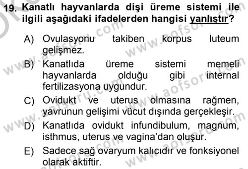 Temel Veteriner Histoloji ve Embriyoloji Dersi 2018 - 2019 Yılı Yaz Okulu Sınav Soruları 19. Soru