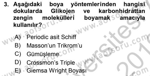Temel Veteriner Histoloji ve Embriyoloji Dersi 2018 - 2019 Yılı Yaz Okulu Sınav Soruları 3. Soru