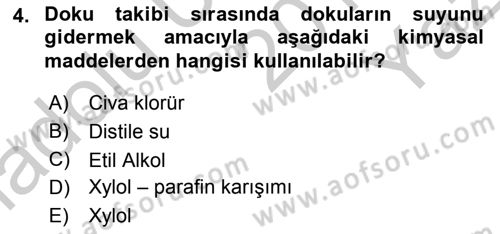 Temel Veteriner Histoloji ve Embriyoloji Dersi 2018 - 2019 Yılı Yaz Okulu Sınav Soruları 4. Soru