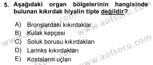 Temel Veteriner Histoloji ve Embriyoloji Dersi 2018 - 2019 Yılı Yaz Okulu Sınav Soruları 5. Soru