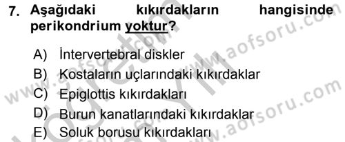 Temel Veteriner Histoloji ve Embriyoloji Dersi 2018 - 2019 Yılı Yaz Okulu Sınav Soruları 7. Soru