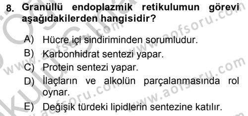 Temel Veteriner Histoloji ve Embriyoloji Dersi 2018 - 2019 Yılı Yaz Okulu Sınav Soruları 8. Soru