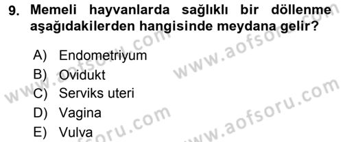 Temel Veteriner Histoloji ve Embriyoloji Dersi 2018 - 2019 Yılı Yaz Okulu Sınav Soruları 9. Soru