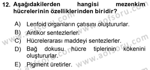 Temel Veteriner Histoloji ve Embriyoloji Dersi Ara Sınavı Deneme Sınav Soruları 12. Soru