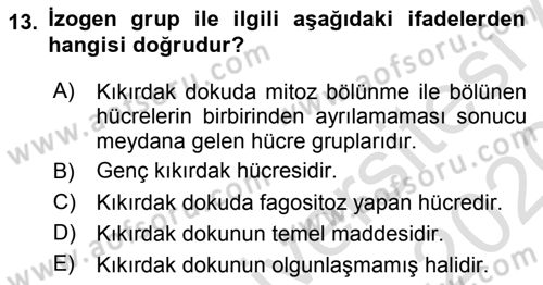 Temel Veteriner Histoloji ve Embriyoloji Dersi 2019 - 2020 Yılı (Vize) Ara Sınav Soruları 13. Soru