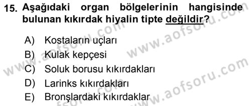Temel Veteriner Histoloji ve Embriyoloji Dersi 2019 - 2020 Yılı (Vize) Ara Sınav Soruları 15. Soru