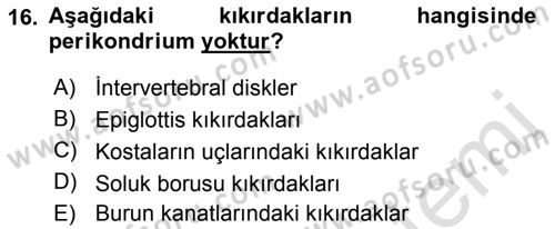 Temel Veteriner Histoloji ve Embriyoloji Dersi Ara Sınavı Deneme Sınav Soruları 16. Soru