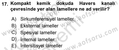 Temel Veteriner Histoloji ve Embriyoloji Dersi Ara Sınavı Deneme Sınav Soruları 17. Soru