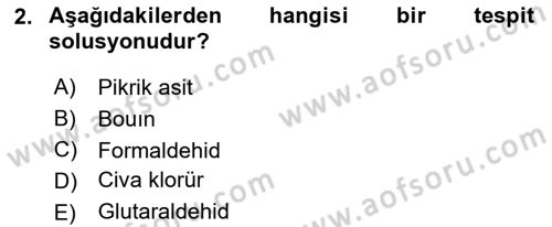 Temel Veteriner Histoloji ve Embriyoloji Dersi 2019 - 2020 Yılı (Vize) Ara Sınav Soruları 2. Soru