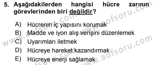 Temel Veteriner Histoloji ve Embriyoloji Dersi Ara Sınavı Deneme Sınav Soruları 5. Soru