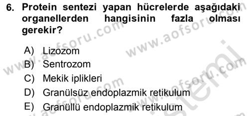 Temel Veteriner Histoloji ve Embriyoloji Dersi 2019 - 2020 Yılı (Vize) Ara Sınav Soruları 6. Soru
