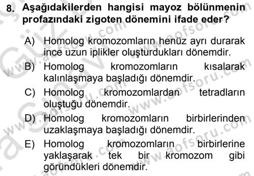 Temel Veteriner Histoloji ve Embriyoloji Dersi Ara Sınavı Deneme Sınav Soruları 8. Soru