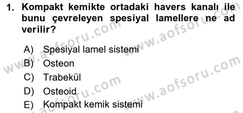 Temel Veteriner Histoloji ve Embriyoloji Dersi 2019 - 2020 Yılı (Final) Dönem Sonu Sınav Soruları 1. Soru
