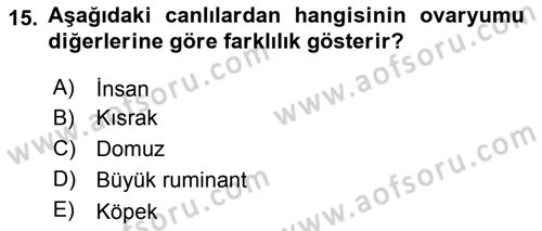 Temel Veteriner Histoloji ve Embriyoloji Dersi 2019 - 2020 Yılı (Final) Dönem Sonu Sınav Soruları 15. Soru
