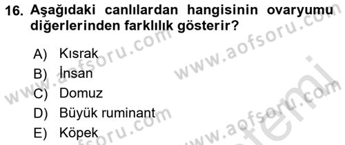 Temel Veteriner Histoloji ve Embriyoloji Dersi 2019 - 2020 Yılı (Final) Dönem Sonu Sınav Soruları 16. Soru