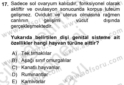 Temel Veteriner Histoloji ve Embriyoloji Dersi 2019 - 2020 Yılı (Final) Dönem Sonu Sınav Soruları 17. Soru