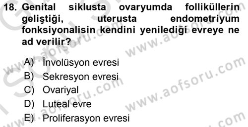 Temel Veteriner Histoloji ve Embriyoloji Dersi 2019 - 2020 Yılı (Final) Dönem Sonu Sınav Soruları 18. Soru