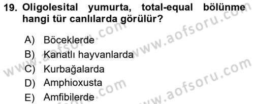 Temel Veteriner Histoloji ve Embriyoloji Dersi 2019 - 2020 Yılı (Final) Dönem Sonu Sınav Soruları 19. Soru
