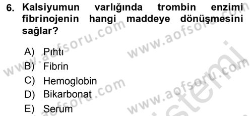 Temel Veteriner Histoloji ve Embriyoloji Dersi 2019 - 2020 Yılı (Final) Dönem Sonu Sınav Soruları 6. Soru