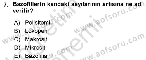 Temel Veteriner Histoloji ve Embriyoloji Dersi 2019 - 2020 Yılı (Final) Dönem Sonu Sınav Soruları 7. Soru
