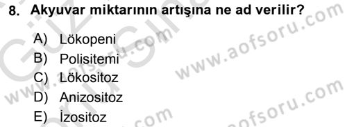 Temel Veteriner Histoloji ve Embriyoloji Dersi 2019 - 2020 Yılı (Final) Dönem Sonu Sınav Soruları 8. Soru
