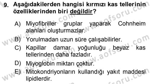 Temel Veteriner Histoloji ve Embriyoloji Dersi 2019 - 2020 Yılı (Final) Dönem Sonu Sınav Soruları 9. Soru