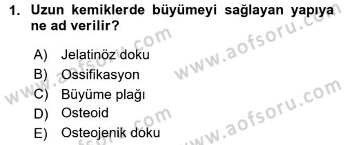 Temel Veteriner Histoloji ve Embriyoloji Dersi 2020 - 2021 Yılı Yaz Okulu Sınav Soruları 1. Soru