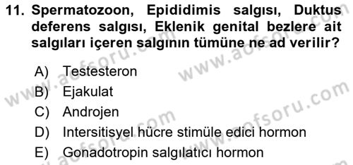 Temel Veteriner Histoloji ve Embriyoloji Dersi 2020 - 2021 Yılı Yaz Okulu Sınav Soruları 11. Soru